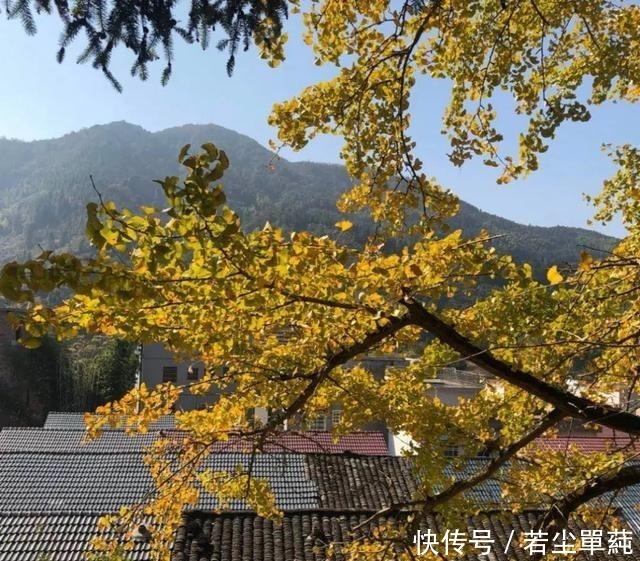 小城|广东人不能吃辣这座距省会1小时的粤北小城,能把你辣的头掉!