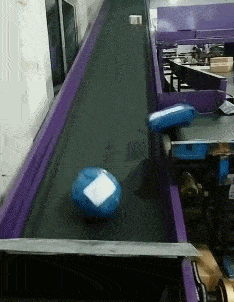 自由|搞笑GIF:没有什么能够阻挡,你对自由的向往