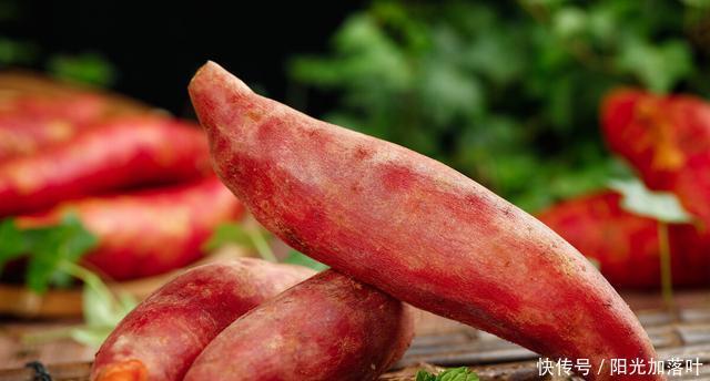 表皮|买红薯应该怎么选别只看大小,学会正确挑选,香甜口感跑不了!