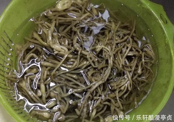 等于|秋季,吃猪肉不如吃它,等于天然泻药,刮油排毒,小腹不鼓了