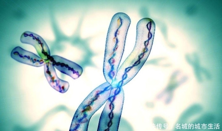 遗传性疾病患者|什么是第三代试管婴儿?