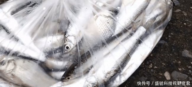  淡定|苦中作乐！长江边房子被淹，男子淡定二楼垂钓