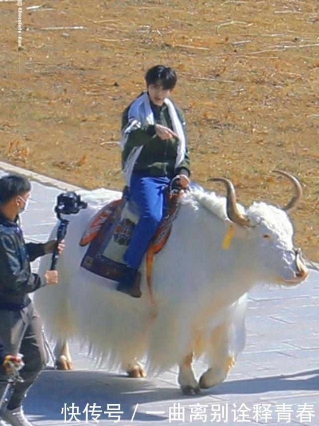 嘉宾|《奔跑吧》杨颖退出,唯一常驻女嘉宾换人路透照告诉你真相