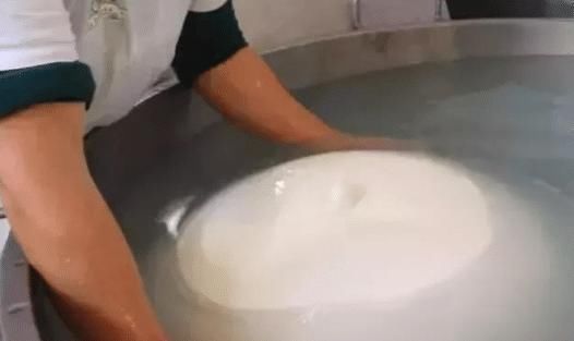 傻眼|网红花800元买“水包子”,用100斤牛奶才做成,切开后“傻眼”了