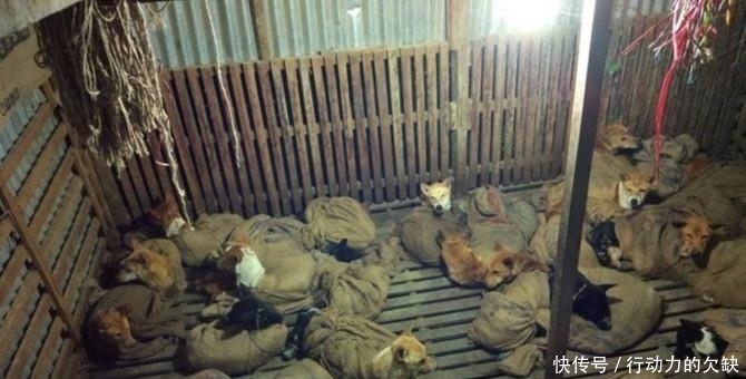  报警|发现陌生货车的男子夜跑，悄悄掀开窗帘，看到现场后立即报警