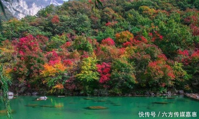 大丰收|云台山大丰收！快，抢先看