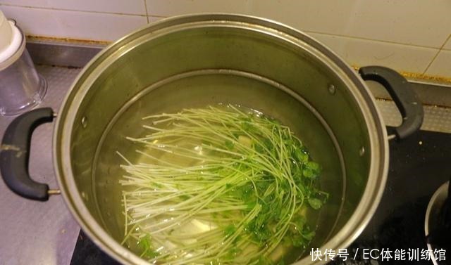 养生|冬天什么菜最养生,看看这一道豆苗做法,你一定会爱上它