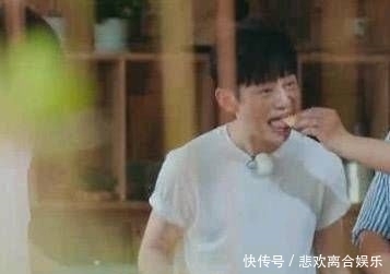  菠萝|黄磊喂我们菠萝，但因为一个细节而受到质疑。厨师不知道这个问题？