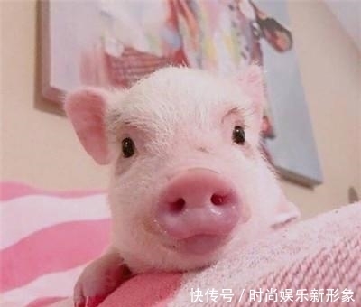 汉族不吃|回族不吃猪, 藏族不吃鱼, 那人口如此庞大的汉族, 不吃什么?