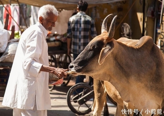 芒果干|中国畅销15年的小零食竟然是印度造的？看完制作流程：打死也不吃