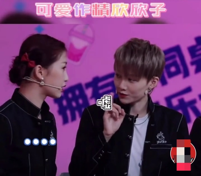 疑在|极挑工作人员夸杨超越可爱不做作,疑在内涵虞书欣,行为有点low