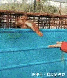 不服|搞笑GIF:我不服别的,就服这个演技