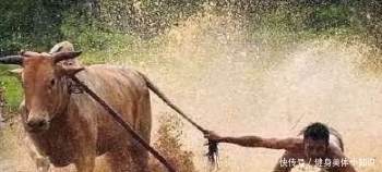 大爷大妈们|你们跑步开户进股市的样子,着实吓到我了