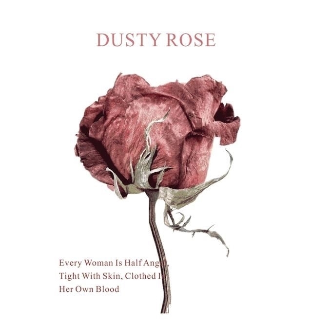 蔷薇|一抹蔷薇粉,触发浪漫灵感