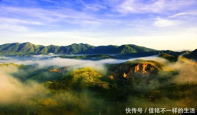 美食|舌尖上的周宁——深山“冒”美食