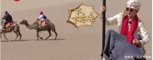 综艺节目|录制综艺节目, 看看明星表现