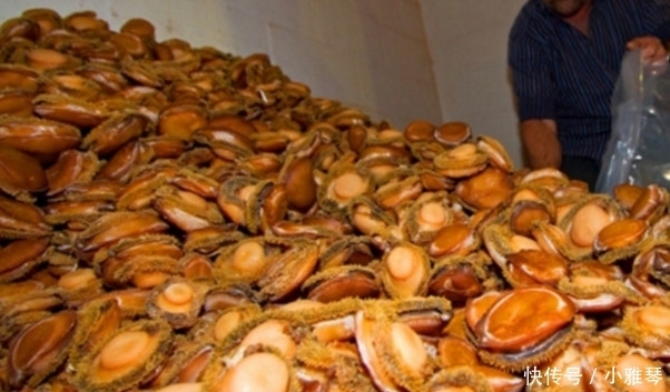  发现|货车在高速路上被拦截下来，打开车厢后，让警察不淡定