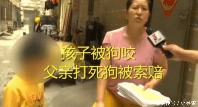  咬伤|6岁男童被狗咬伤 反被赔狗主人索赔2万：小孩的命没狗值钱？