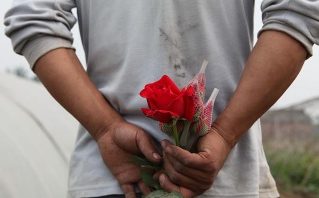 收到|九年前，我给了他3万的分手费，九年后，收到了100万的彩礼钱