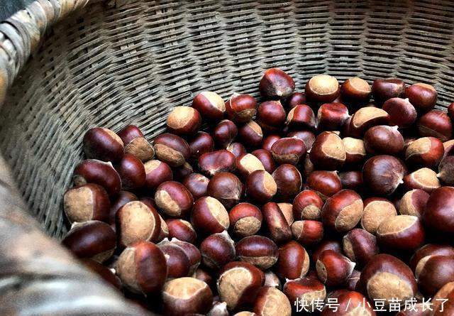 我家|秋天板栗这样做,营养味道好,我家一周至少吃2次,出锅就光盘