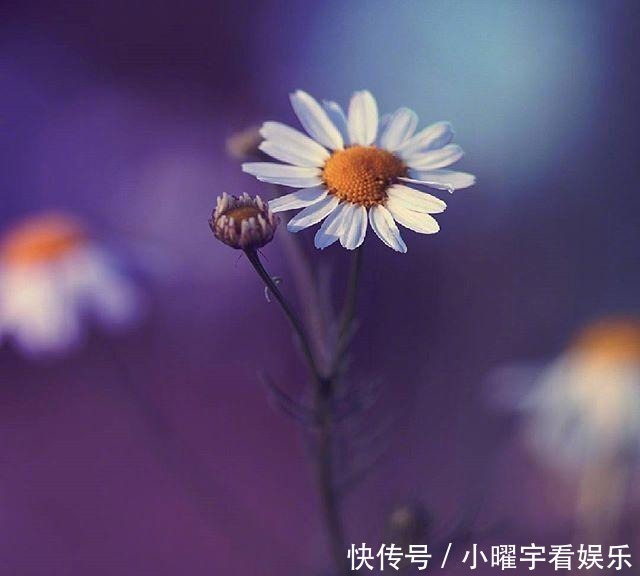 则你将一无|朋友圈心灵鸡汤语录,耐人寻味
