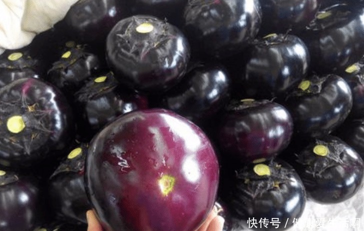 外婆|都是茄子,“长条”和“圆形”有啥区别别再乱买了,买错不好吃
