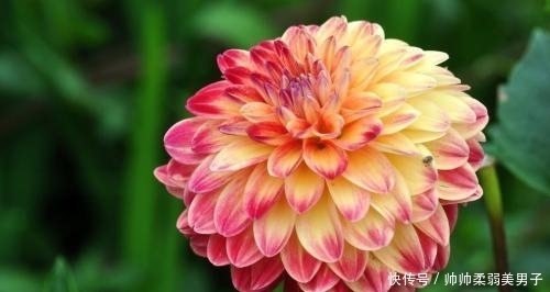 菩萨|身份证最后一位数是这三个数，有菩萨保佑，一生都有好运气