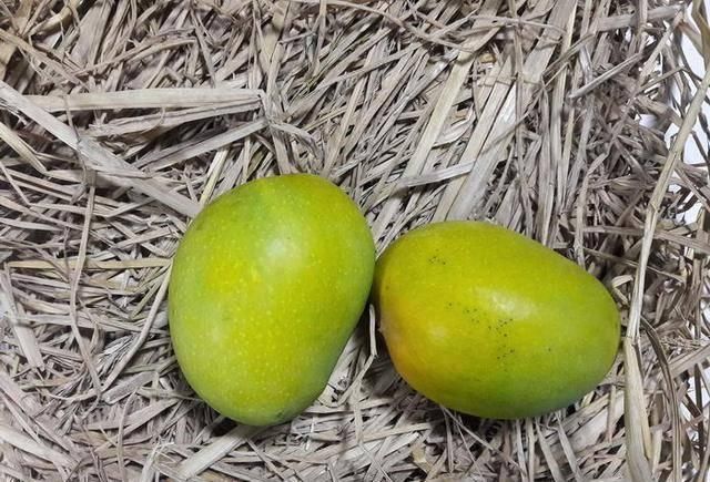 危险|十种最危险的日常食物,美味虽好也要多加小心