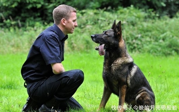 找到|4名男子庆祝抢劫成功时被警犬找到，抓捕后共判33年