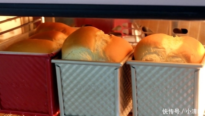 面团|面包别再买了,自己在家做,不用黄油不用高粉,柔软拉丝超好吃!