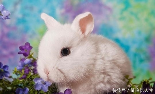 中大奖|鼠鼠人:最近7天吉星入命,最容易发横财中大奖,一夜暴富