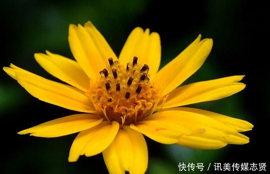 美满|进入9月中旬，4属相运势更上一层楼，财源滚滚，生活富足美满