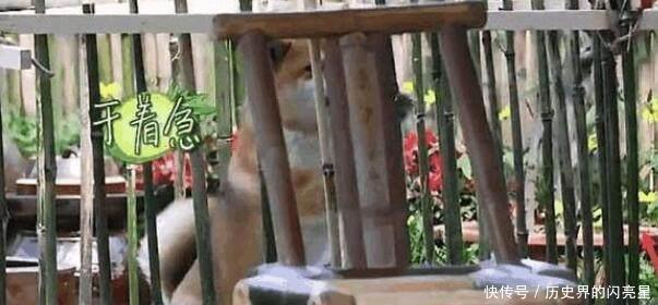 穿帮|《向往的生活2》被批多处穿帮造假,导演9个字说出了节目真相!