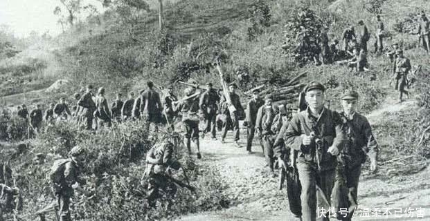 踩踏|撤离越南,工兵埋雷被水牛踩踏,枪扫水牛:要把地雷留给越军