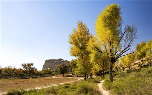 毛乌素沙漠|中国一沙漠已有8成变绿,面积比海南岛还大,即将从版图上消失