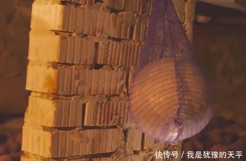 封蜡|男子用封蜡将西瓜封住，半年后重新打开，一刀切开当场就吐了