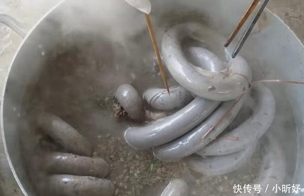 大妈|大妈路边卖它,20元一斤,每天6大锅不够卖,顾客:就怕来晚