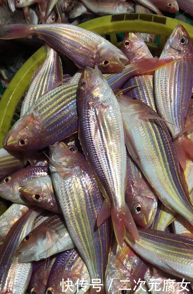 价格|以后去市场买这5种鱼,连鱼铺老板都会夸你是行家