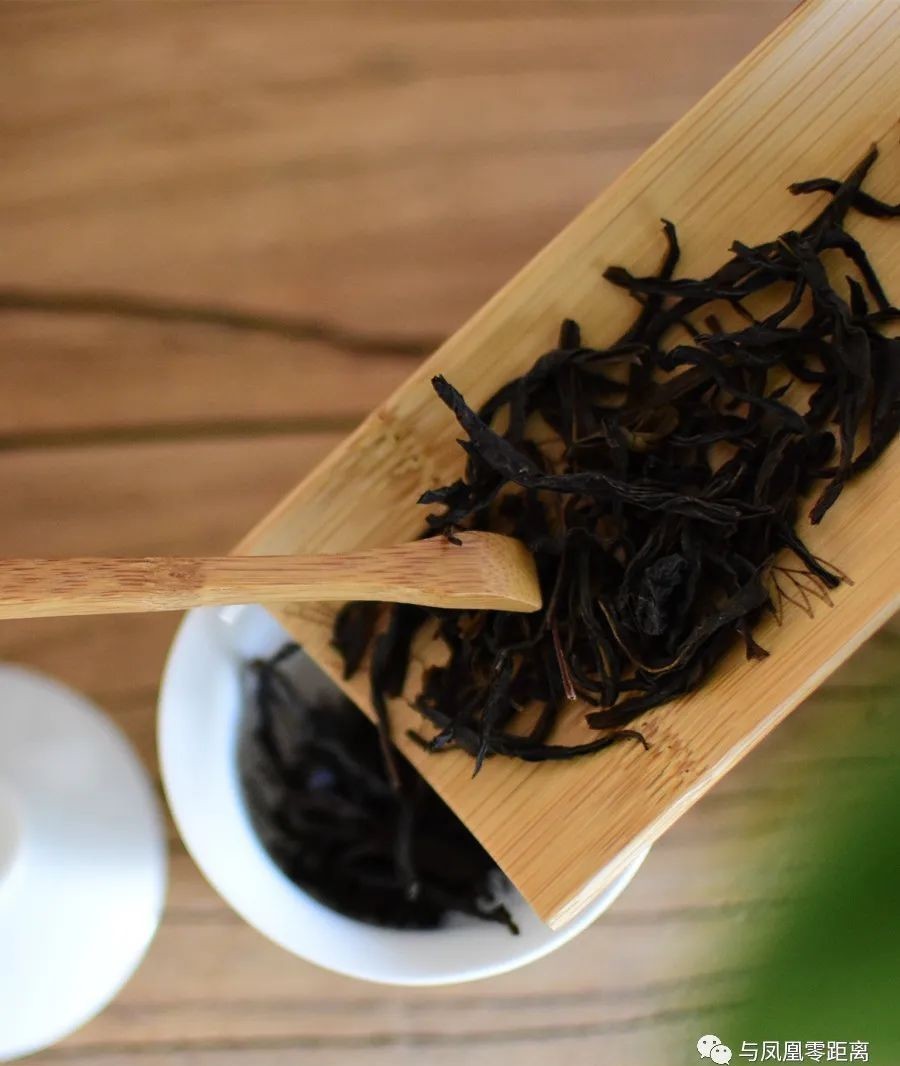 辣味|这茶有点生姜辣味,单丛茶…