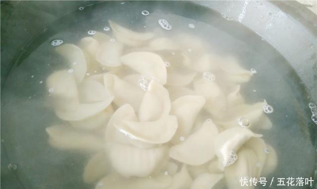  好吃|妈妈包了薄皮馅的饺子，很好吃，我一口气吃了两碗饺子