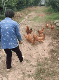 技术|搞笑GIF:这技术功底不是轻易练成的!