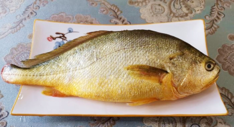 美味|这鱼再贵也要常给孩子吃，好吃又美味，身体棒