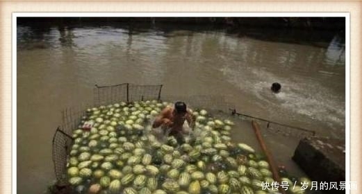 原因|男子将西瓜全部都放在水里, 路人都笑他傻, 知道原因之后大家纷纷点赞