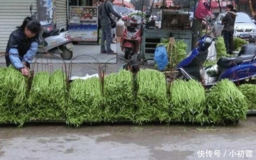 蔬菜|中国不起眼的蔬菜,起了个“洋名字”,出口到美国,卖的比肉还贵!