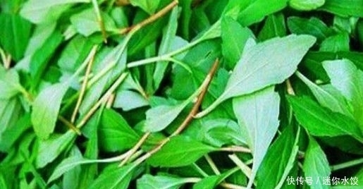 身体|女性想要身体好常吃的4种食物,清热排毒,平肝降压,谁吃谁受益