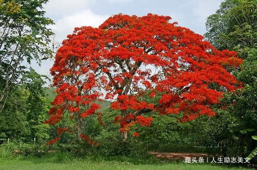 活出|老去的是年龄，不老的是气质！