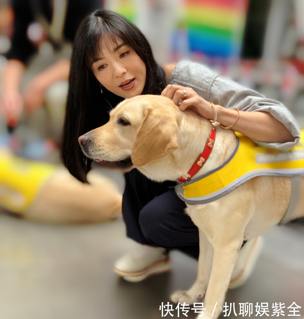  迟暮|美人不迟暮！杨采妮的图集