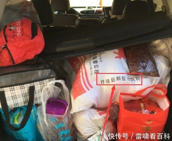 交警蜀黍|十一期间，交警拦住可疑车辆，打开车窗看了之后，差点笑喷！