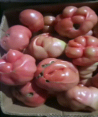 婚庆|搞笑GIF:婚庆:终于完美了一次,这次终于不用扣钱了