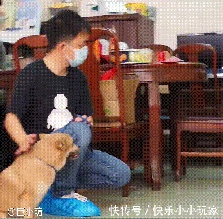  发狂|“第一猛犬”发狂咬土狗32秒，5岁女孩赤手空拳阻止，场面惊心